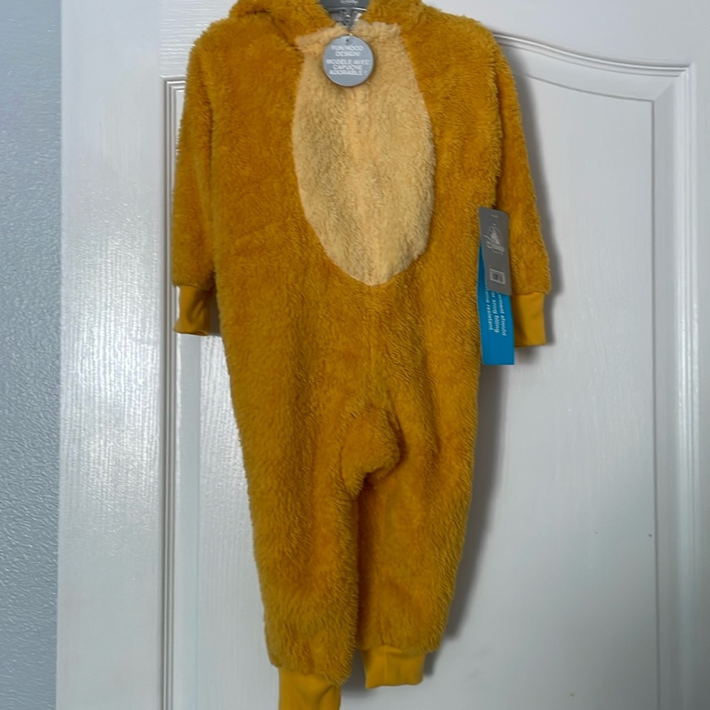 Disney Lion King Costume